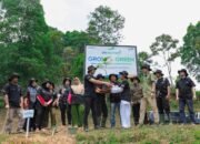 Pulihkan Hutan Bekas Tambang, Aksi Nyata Kelompok Tani Selamatkan Lingkungan Bersama BRI Menanam-Grow & Green