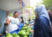 Berkat Program Pemberdayaan BRI Klasterku Hidupku, Petani Ini Berhasil Kembangkan Budidaya Alpukat