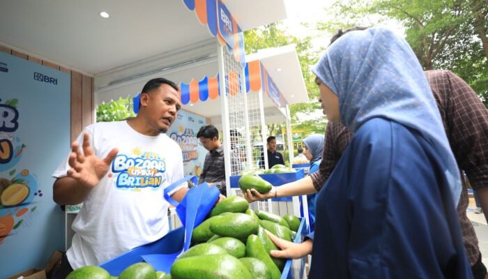 Berkat Program Pemberdayaan BRI Klasterku Hidupku, Petani Ini Berhasil Kembangkan Budidaya Alpukat