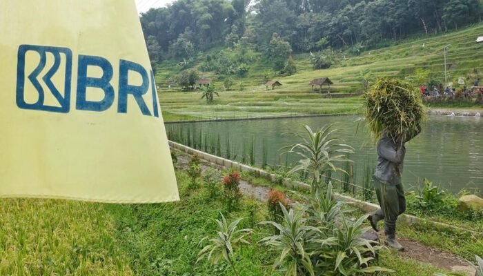 BRI Salurkan KUR Senilai Rp175,66 triliun, Bukti Nyata Implementasi Asta Cita dalam Pemberdayaan Ekonomi Kerakyatan