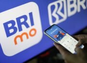 Jalani Liburan dengan Tenang, BRI Mudahkan Pembelian Asuransi Lewat Super Apps BRImo