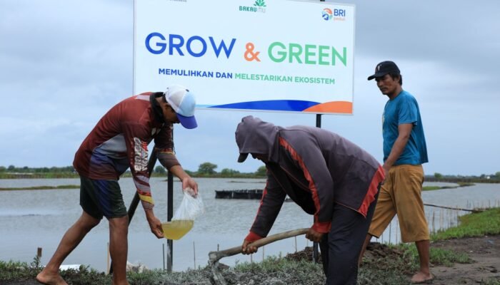 BRI Menanam – Grow & Green, Upaya Nyata BRI Bantu Pulihkan Ekosistem Lingkungan dan Dorong Pemberdayaan Ekonomi Masyarakat