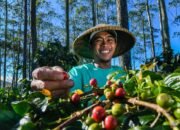 Terdepan dalam Praktik Sustainable Finance, BRI Menjadi Satu-Satunya BUMN Penerbit Obligasi Hijau di Tahun 2024