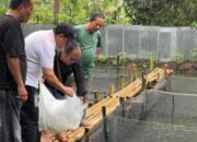 Senator DPD RI Muslim M Yatim Menebar 10 Ribu Bibit Ikan Lele di Padang