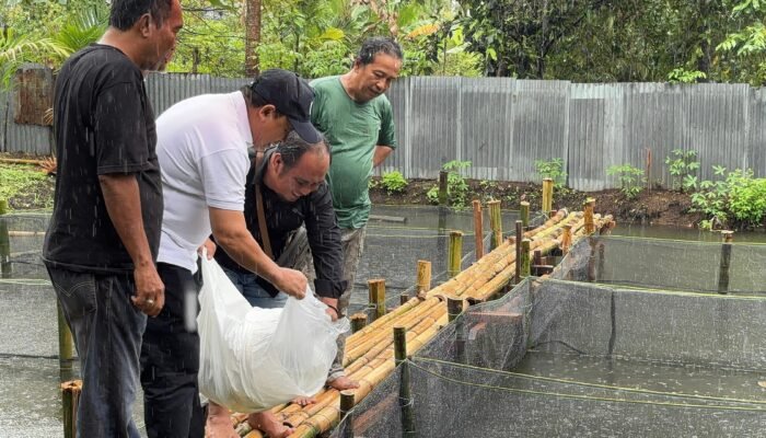 Senator DPD RI Muslim M Yatim Menebar 10 Ribu Bibit Ikan Lele di Padang