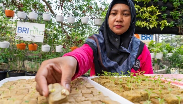 BRI Diakui atas Peran Nyata dalam Urban Farming dan Pemberdayaan Perempuan